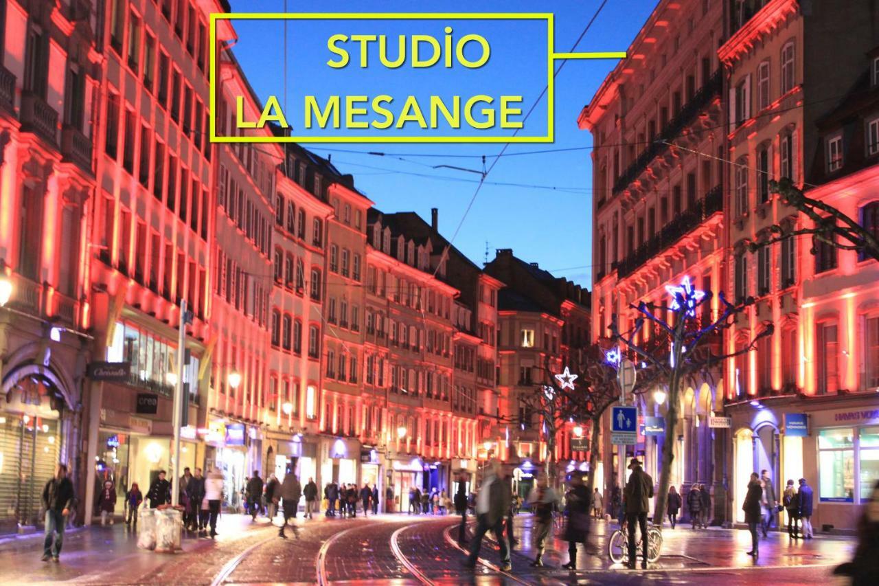Studio La Mesange Strasbourg Exterior photo